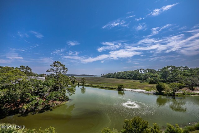 262 Deer Run Ln, Fripp Island, SC 29920 - water view