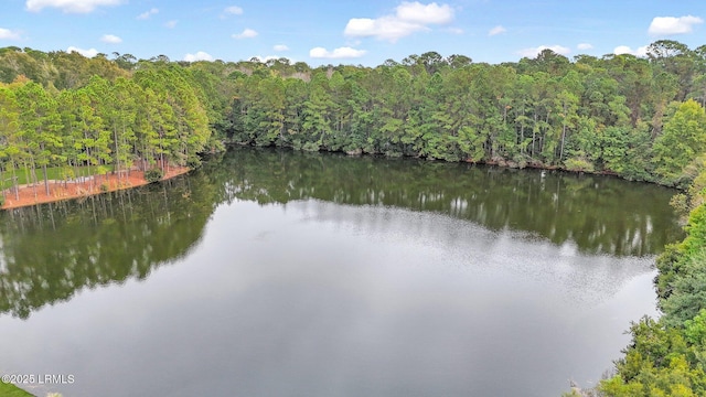 property view of water featuring a view of trees