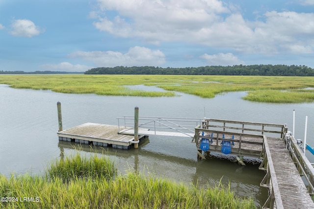 dock area with a water view