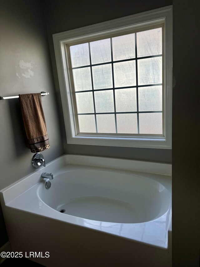 bathroom featuring a wealth of natural light and a bath