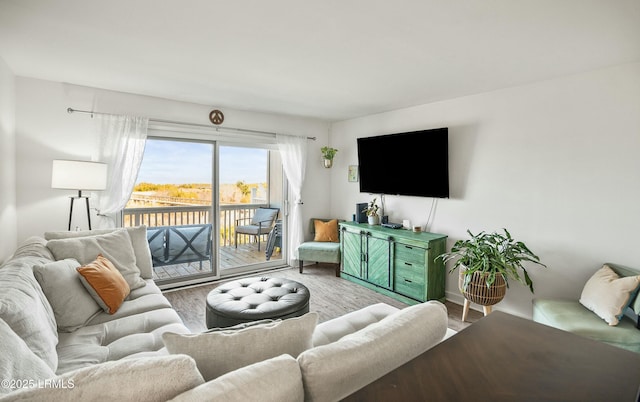 living room featuring hardwood / wood-style floors