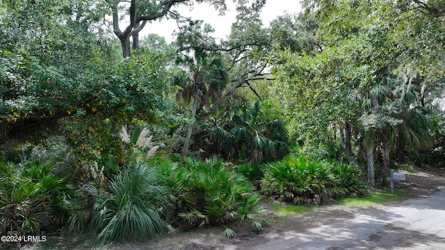 372 Pike Dr, Fripp Island SC, 29920 land for sale