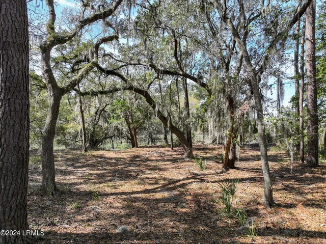 Listing photo 3 for 16 Timber Trl, Beaufort SC 29907