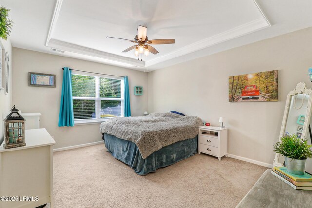 13 Hager Rd, Bluffton, SC 29910 - bedroom with a tray ceiling, baseboards, and carpet floors