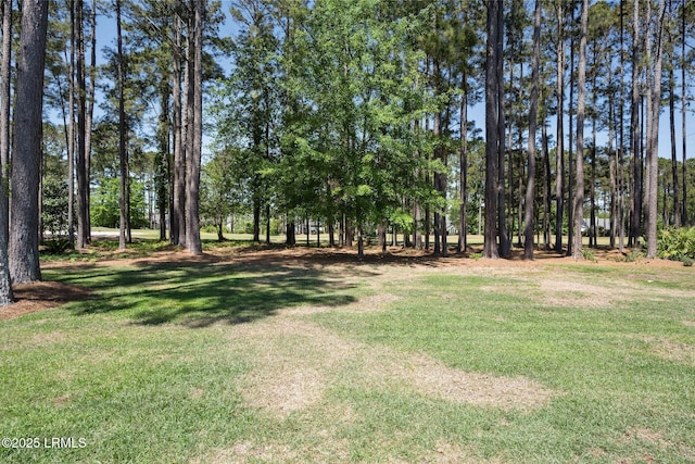 32 Aspen Hall Rd, Bluffton, SC 29910 - view of yard