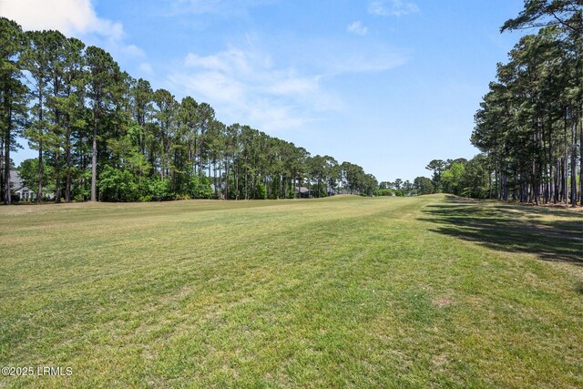32 Aspen Hall Rd, Bluffton, SC 29910 - view of yard