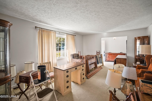 806 Coates Ln, Beaufort, SC 29902 - office area with light colored carpet and a textured ceiling
