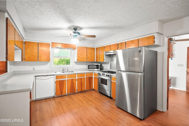 806 Coates Ln, Beaufort, SC 29902 - kitchen featuring appliances with stainless steel finishes, ceiling fan, under cabinet range hood, light wood-style floors, and a sink