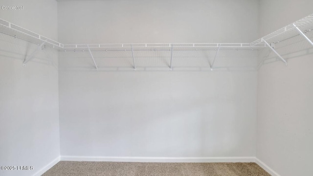 134 Twickenham Loop, Yemassee, SC 29945 - spacious closet with carpet flooring