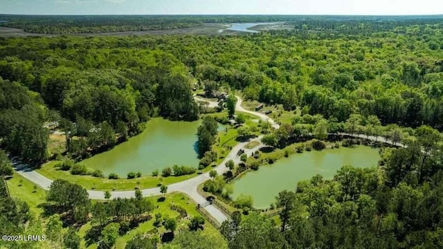 134 Twickenham Loop, Yemassee, SC 29945 - bird's eye view of a heavily wooded area and a large body of water