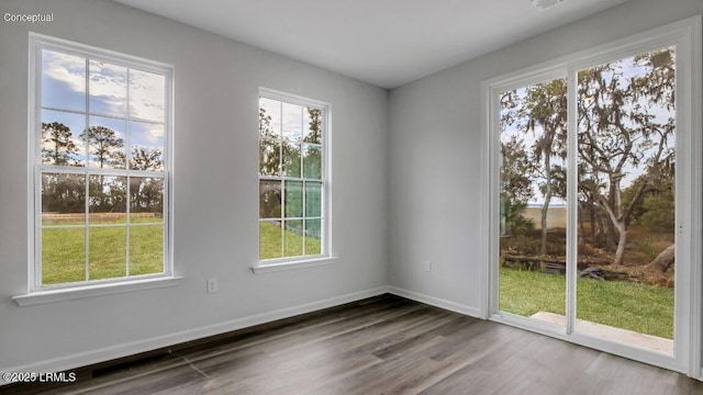 134 Twickenham Loop, Yemassee, SC 29945 - unfurnished room featuring wood finished floors and plenty of natural light