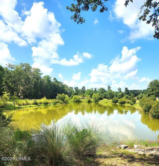 134 Twickenham Loop, Yemassee, SC 29945 - water view with a heavily wooded area