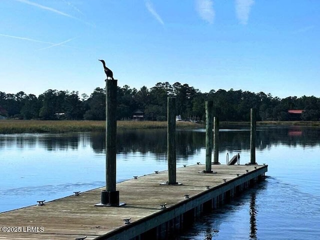 134 Twickenham Loop, Yemassee, SC 29945 - dock area with a water view