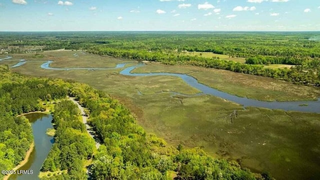 134 Twickenham Loop, Yemassee, SC 29945 - aerial view of property and surrounding area with a heavily wooded area and a large body of water