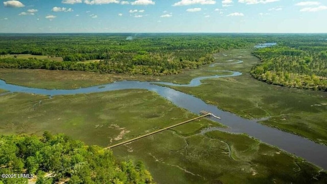 134 Twickenham Loop, Yemassee, SC 29945 - drone / aerial view of a heavily wooded area and a nearby body of water