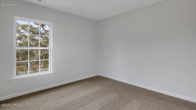 134 Twickenham Loop, Yemassee, SC 29945 - spare room featuring carpet and healthy amount of natural light