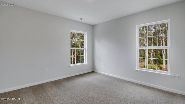 134 Twickenham Loop, Yemassee, SC 29945 - empty room with baseboards and carpet floors