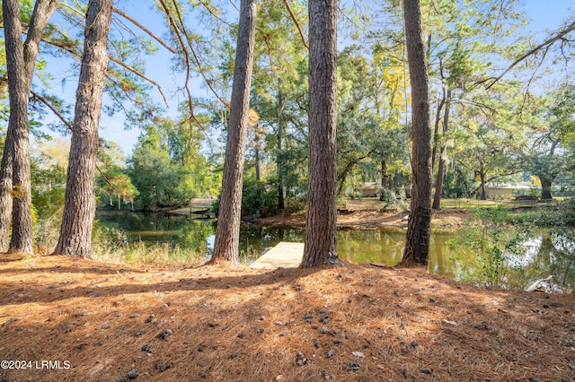 view of yard with a water view