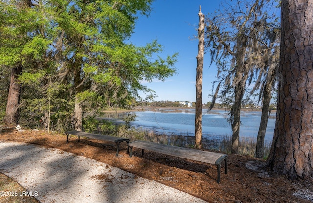706 Water St, Beaufort, SC 29902 - photo 42
