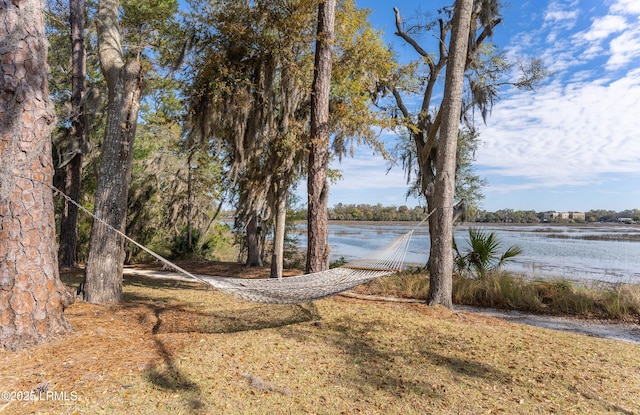 706 Water St, Beaufort, SC 29902 - photo 45
