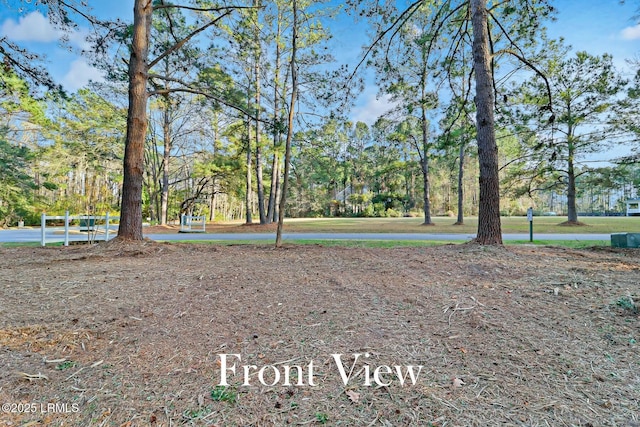 Listing photo 3 for TBD W Branch Rd, Ridgeland SC 29936