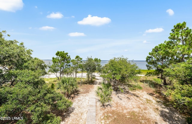 185 Sea Pines Dr, Saint Helena Island, SC 29920 - photo 21