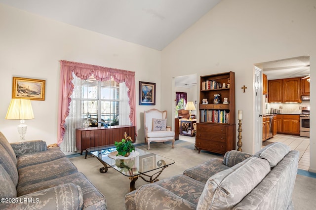 1101 Beavers Den, Beaufort, SC 29902 - living room featuring high vaulted ceiling and light colored carpet