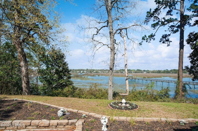 1101 Beavers Den, Beaufort, SC 29902 - view of water feature
