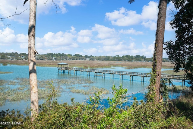 1101 Beavers Den, Beaufort, SC 29902 - water view