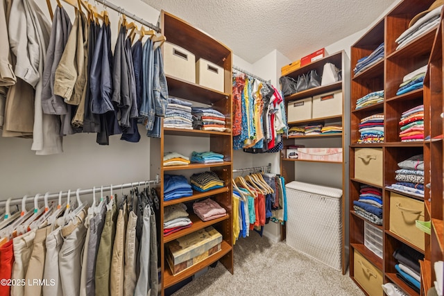69 Wheatfield Cir, Bluffton, SC 29910 - spacious closet featuring carpet floors