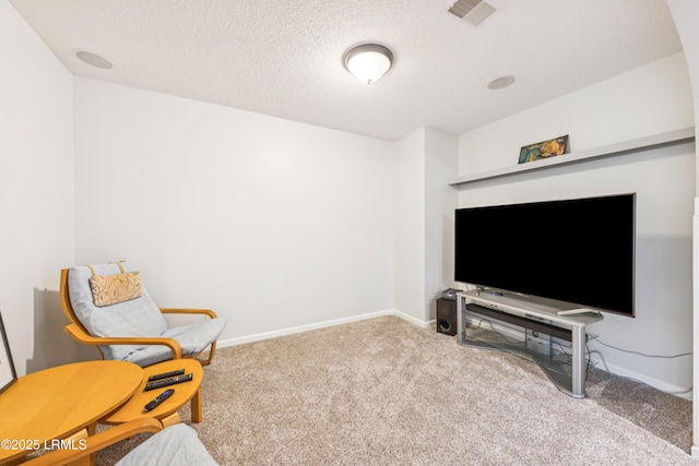 69 Wheatfield Cir, Bluffton, SC 29910 - sitting room with carpet and a textured ceiling