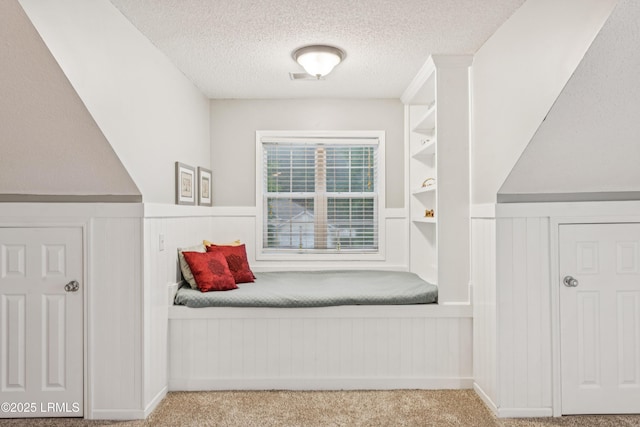 69 Wheatfield Cir, Bluffton, SC 29910 - mudroom with a wainscoted wall, a textured ceiling, carpet flooring, built in features, and a decorative wall