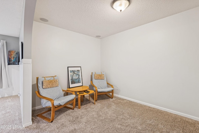 69 Wheatfield Cir, Bluffton, SC 29910 - sitting room with carpet flooring and a textured ceiling