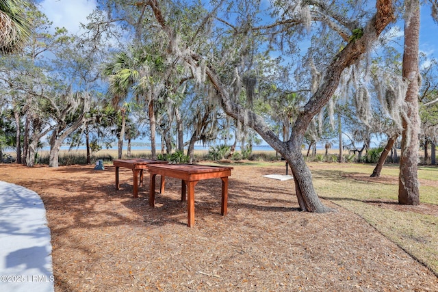 21 Greenwood Ct, Bluffton, SC 29910 - photo 74