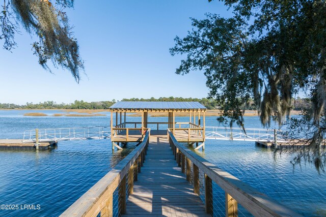 dock area with a water view