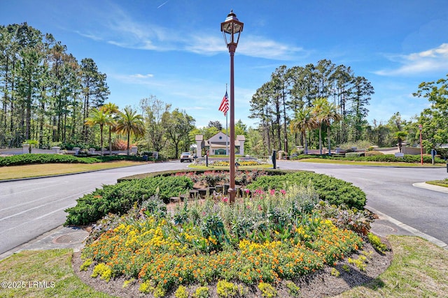 27 Paxton Cir, Bluffton, SC 29910 - photo 41