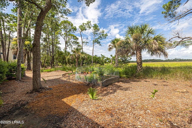 1731 Longfield Dr, Saint Helena Island, SC 29920 - photo 51