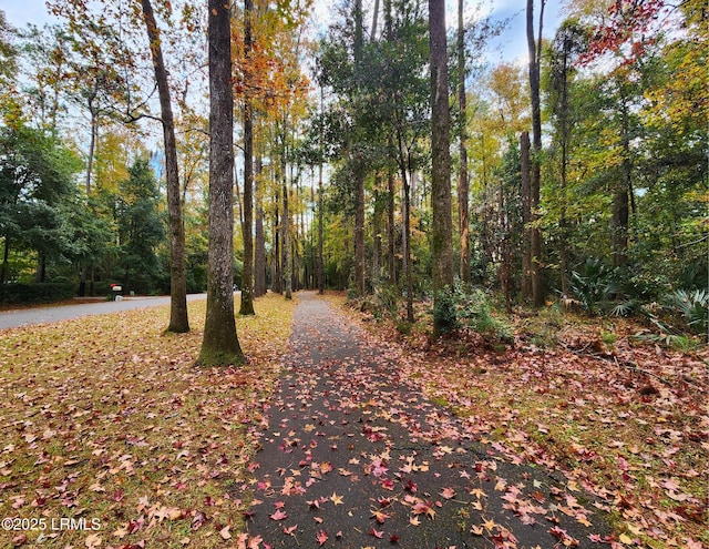 120 Bull Point Dr, Seabrook, SC 29940