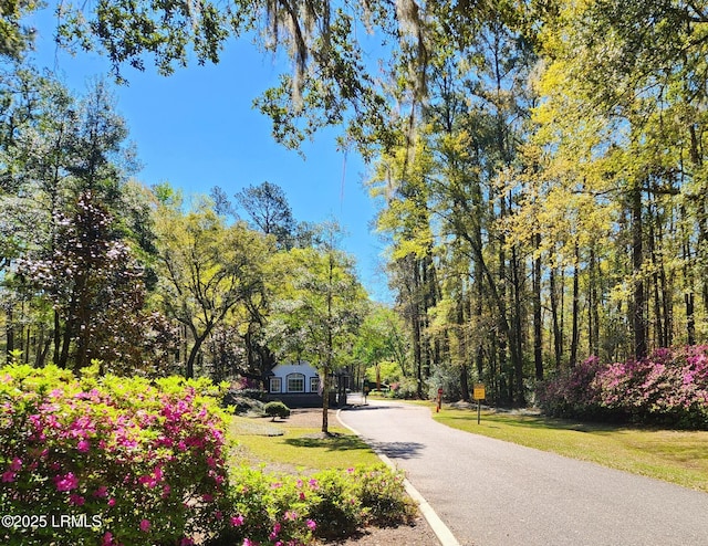 120 Bull Point Dr, Seabrook, SC 29940