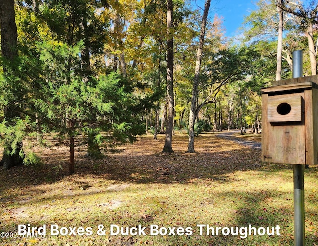 120 Bull Point Dr, Seabrook, SC 29940