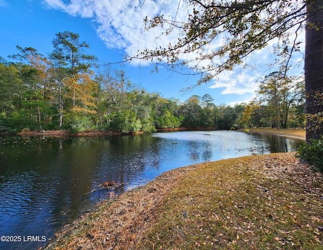 120 Bull Point Dr, Seabrook, SC 29940