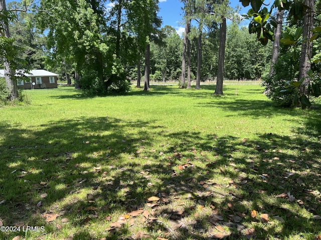TBD Elm St E, Hampton, SC 29924