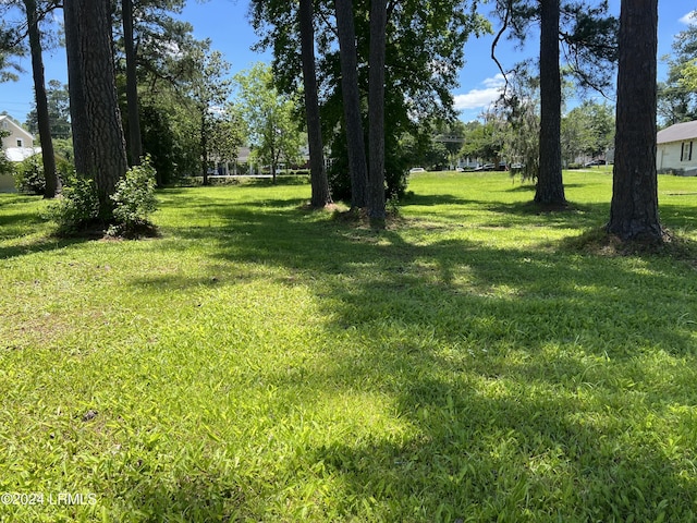 TBD Elm St E, Hampton, SC 29924
