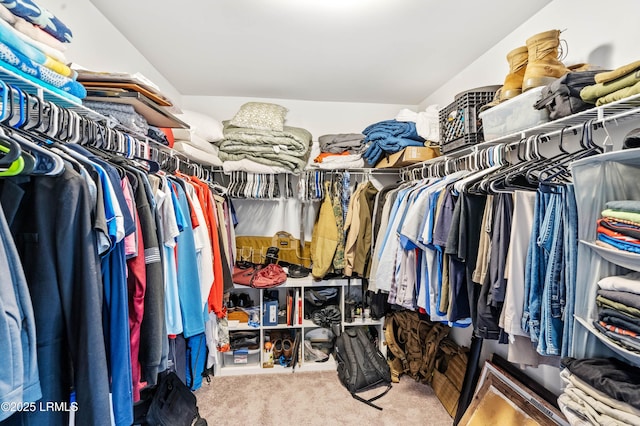 spacious closet with carpet and lofted ceiling