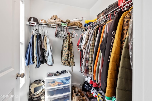 view of spacious closet