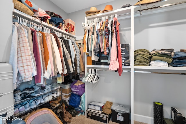 walk in closet with carpet floors