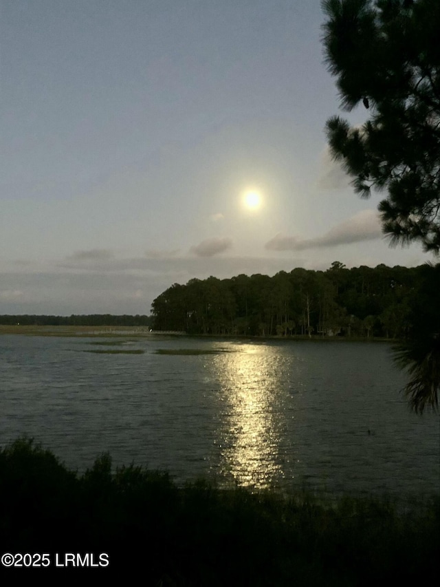 2 S Oak Forest Dr, Okatie, SC 29909 - water view featuring a heavily wooded area