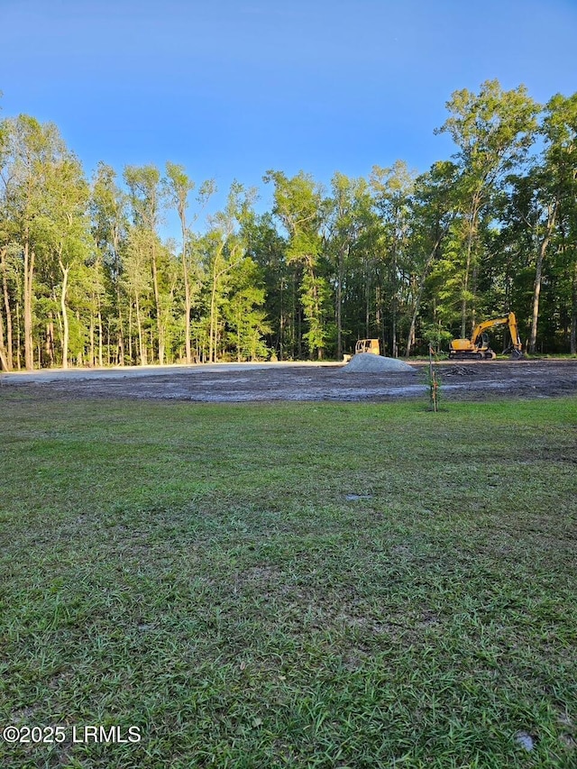 160 Delta Estates Rd, Hardeeville, SC 29909 - photo 6
