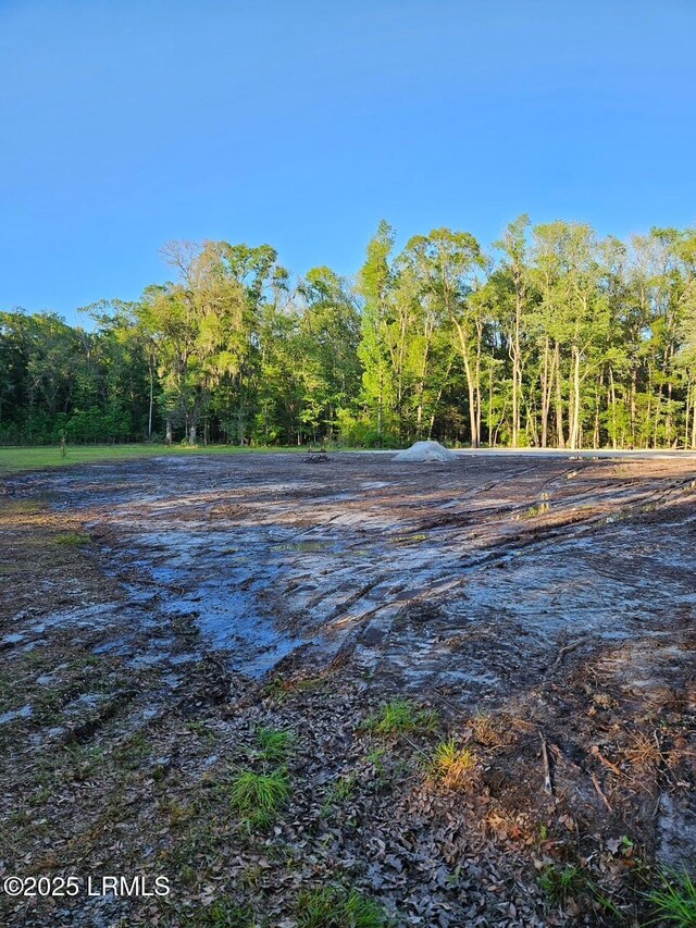 160 Delta Estates Rd, Hardeeville, SC 29909 - photo 5
