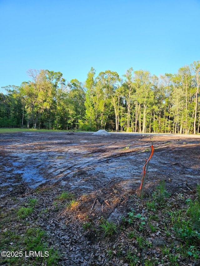 160 Delta Estates Rd, Hardeeville, SC 29909 - photo 4